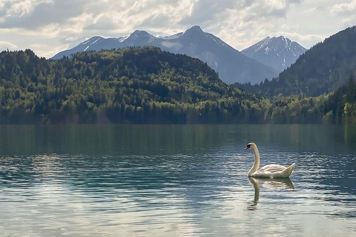 Legendary Experience of Neuschwanstein Castle, photo 3