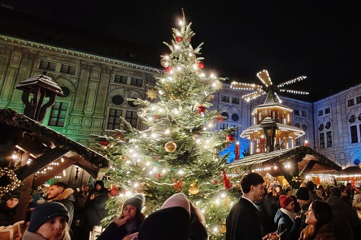 Neuschwanstein Castle and Munich Christmas Market Tour, photo 2